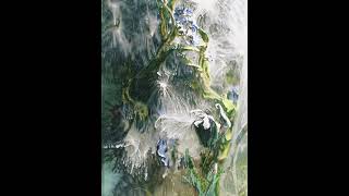 Download Lagu EOH - Fungus (feat. Mokyo, Salami Rose Joe Louis) (Official Video) Download Lagu EOH - Fungus (feat. Mokyo, Salami Rose Joe Louis) (Official Video)