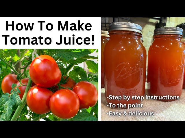 How to Can Tomato Juice - Wyse Guide