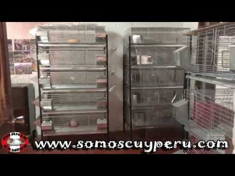 JAULAS PARA CUYES Y CONEJOS EN ALAMBRE GALVANIZADO