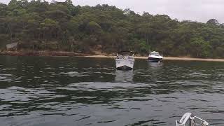 GOPR0729
