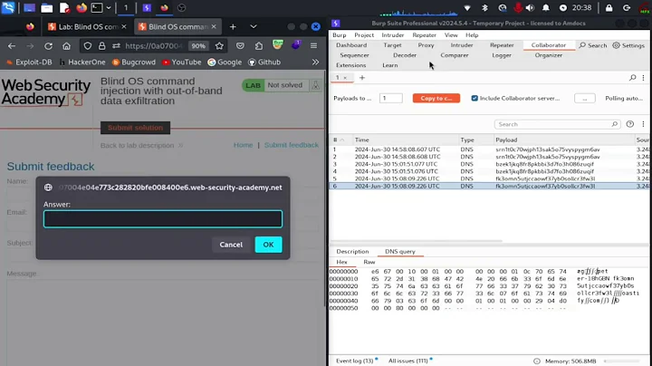 Blind OS Command Injection with Out-Of-band Data Exfiltration | Web Security Academy | PortSwigger