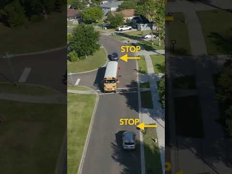 Видео: Яагаад автобусны зогсоол гэж нэрлэдэг юм бэ?
