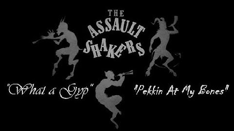 "Pekkin At My Bones" (Official VIDEO) -The Assault Shakers