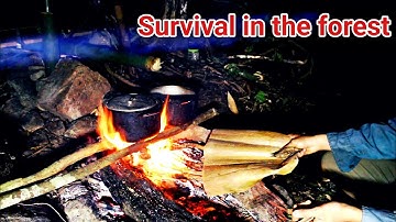 Sinh Tồn Trong Rừng Mùa Đông | Tập 3 | Cách Kiếm Ăn Đêm Trong Rừng Già | Rừng Và Tôi