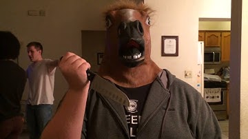 Normal Activity 2:The Normaling