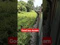 Jangle#indianrailways #Hasimara#indian # forest🌲#Assam#lovenatural #nature#Good bye assam#northeast