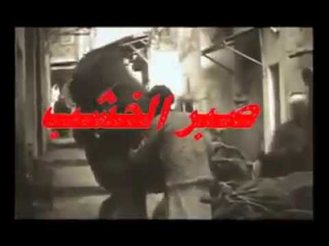 صبرنا صبر الخشب 