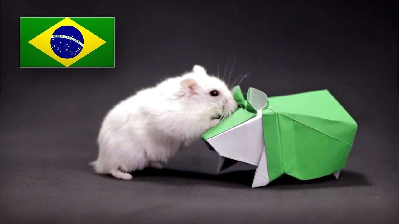 Origami de Hamster - Instruções em Português BR