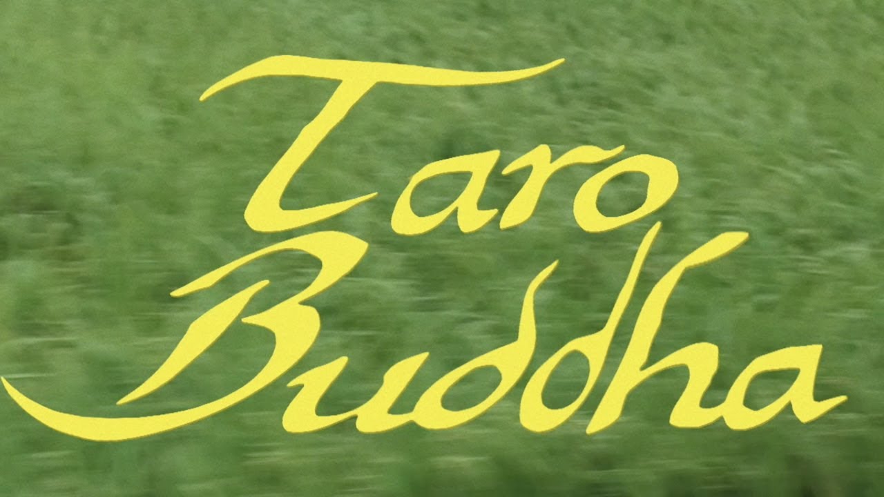 Taro Buddha | Yueqi Qi | GucciFest Emerging Designer Fashion Film