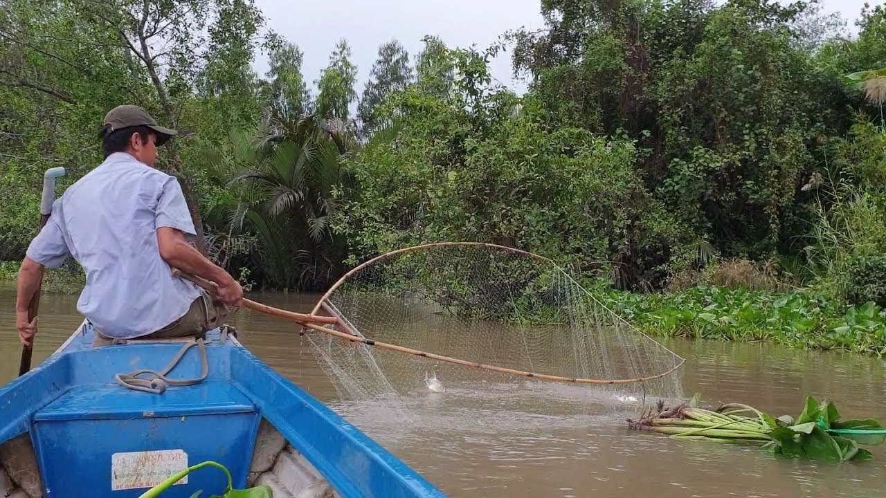 Phá vỡ mọi kỷ lục. Đêm vớt cá kinh hoàng (hơn 45kg cá) : Tập full video | Săn bắt SÓC TRĂNG |