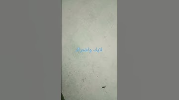 تلاوة  ما شاء الله تبارك الرحمان #اكسبلور