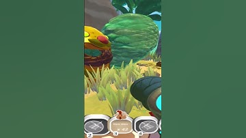 Throwing a Mudball in a Kookadoba cracker - Slime rancher