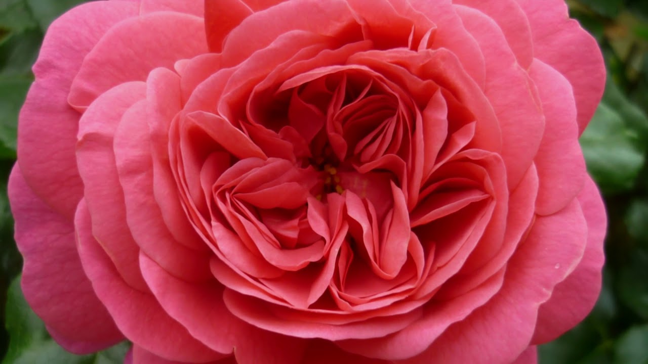 Who Can I Turn To (Karaoke Version) YouTube