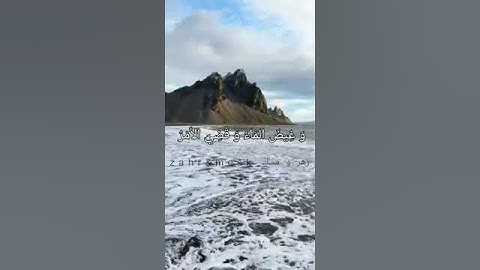 و قيل يا أرض ابلعي مائك و يا سماء أقلعي 🌊🕊 || تلاوة رائعة من سورة هود للقارئ إسلام صبحي 🤍