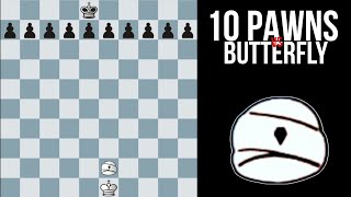 When THE BUTTERFLY enters the chess board!