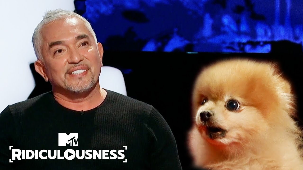 Can Finally Calm Down Chanel's Dog? | Ridiculousness - YouTube