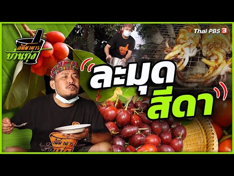 พื้น หลัง สี ส้ม 2022 ละมุดสีดา : ภัตตาคารบ้านทุ่ง