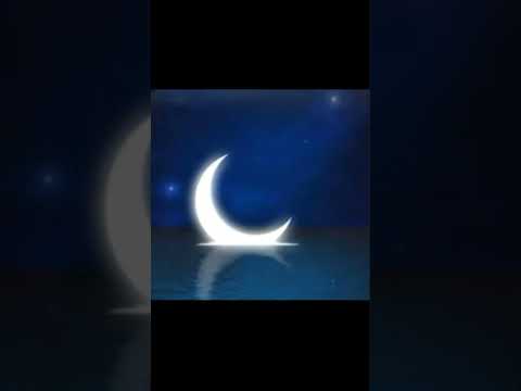 تم البدر بدري