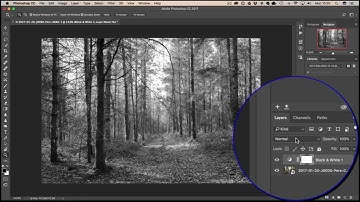 How to Use Luminosity in Photoshop to Maniplulate Colors