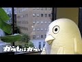 【からしはからいよ】第1話 からしくんの悩み【カラスは真っ白】