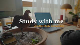 Autumn 02 | Study with Me & a Little Chicken 🐥 (Piano) | 2-Hour Pomodoro 50/10 | Real Clock Ticking screenshot 5