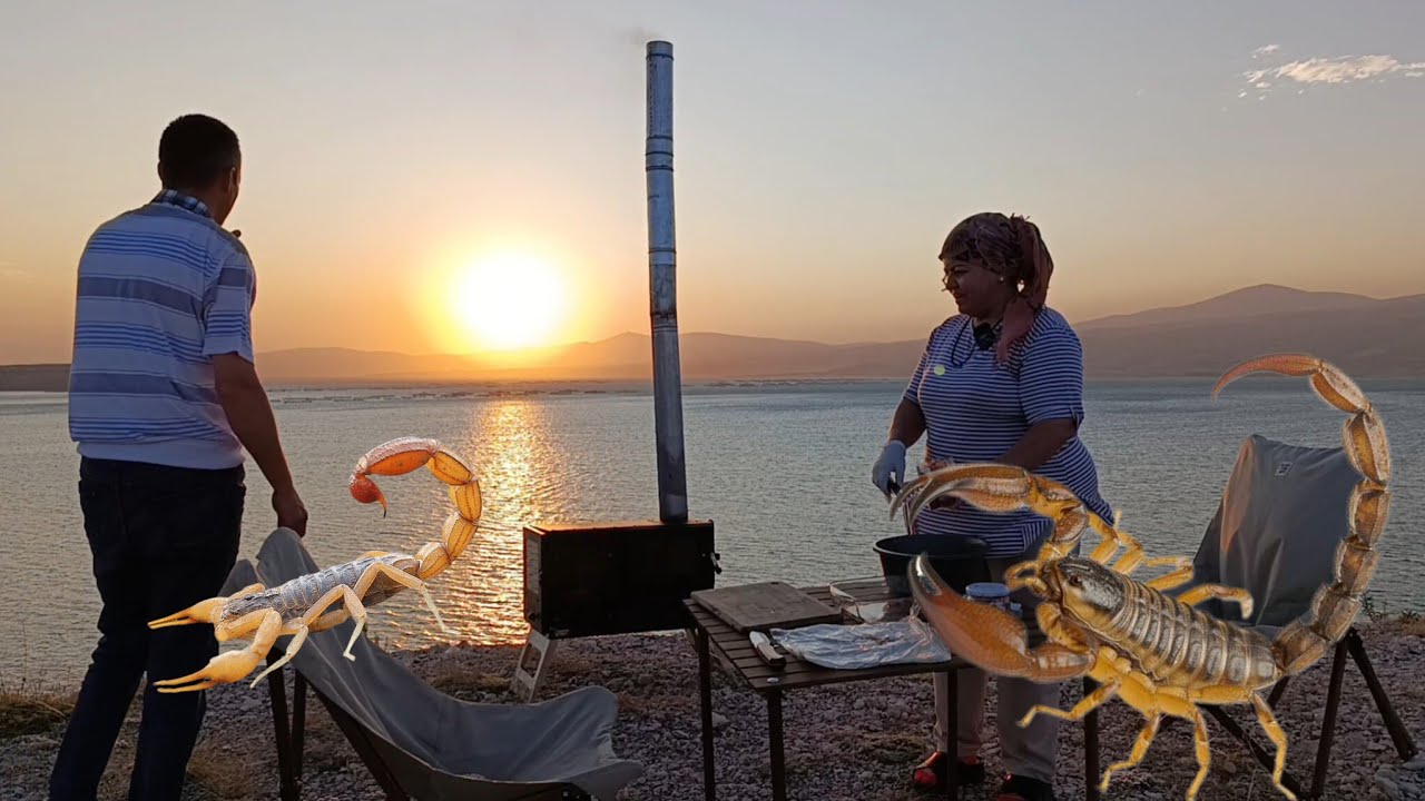 AKREP VE KASIRGA VİDEOYA EVDE DEVAM ETTİK. We continued the scorpion and hurricane video at home.