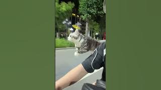 He wants to become Doraemon