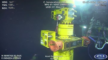 Riserless Light Well Intervention