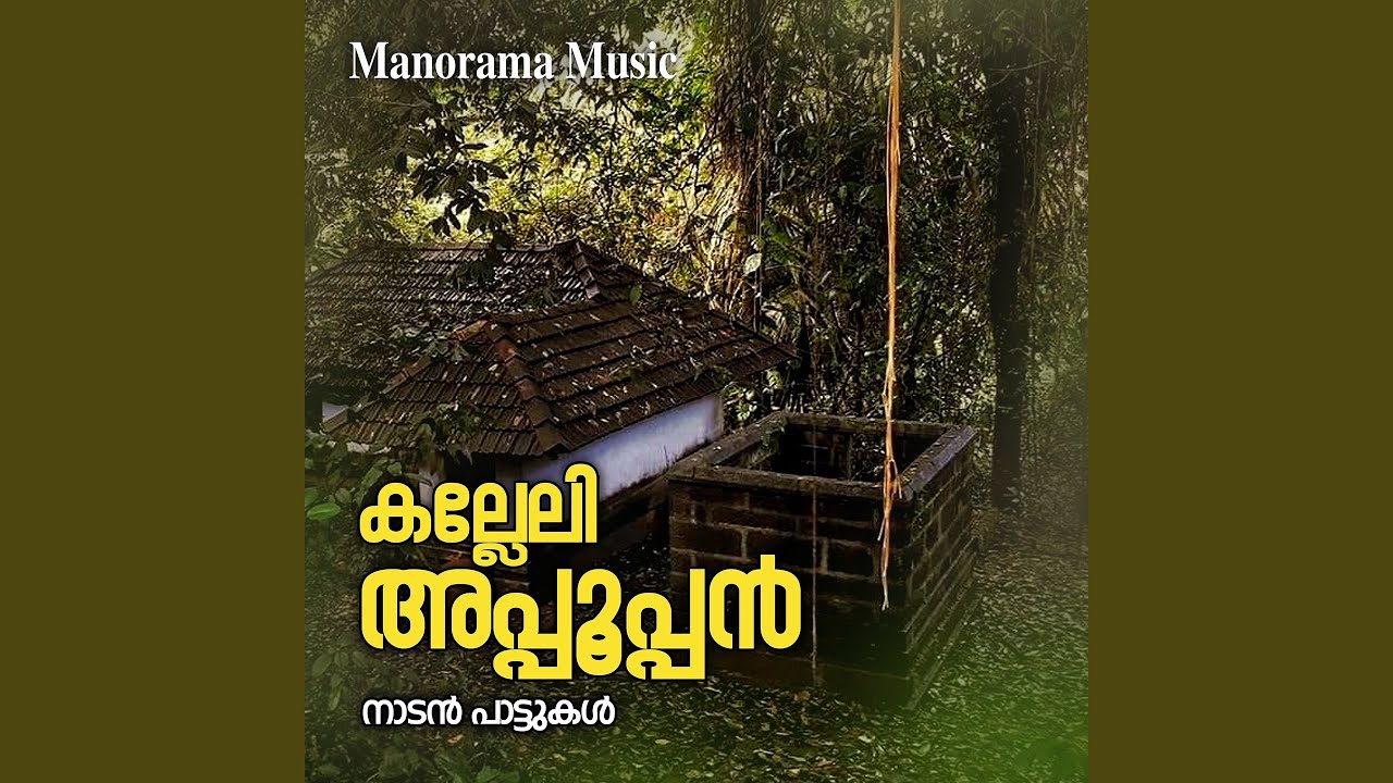 Pulinelloor Aattiloru