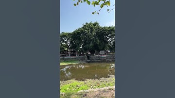 Tutorial mancing kepiting