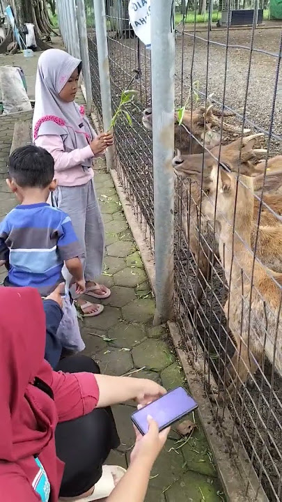 @ jalan jalan hari minggu