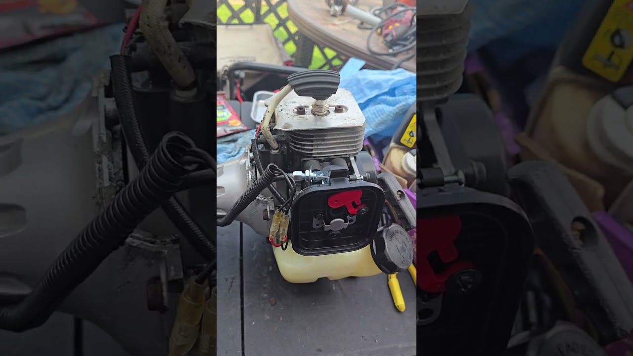 Red Max BCZ3060TS Weed Whip