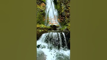 🌺 إن الله وملائكته يصلون على النبي 🌺 القارئ الشيخ  محمد اللحيدان 🌺 #الشيخ #quran #القران_الكريم
