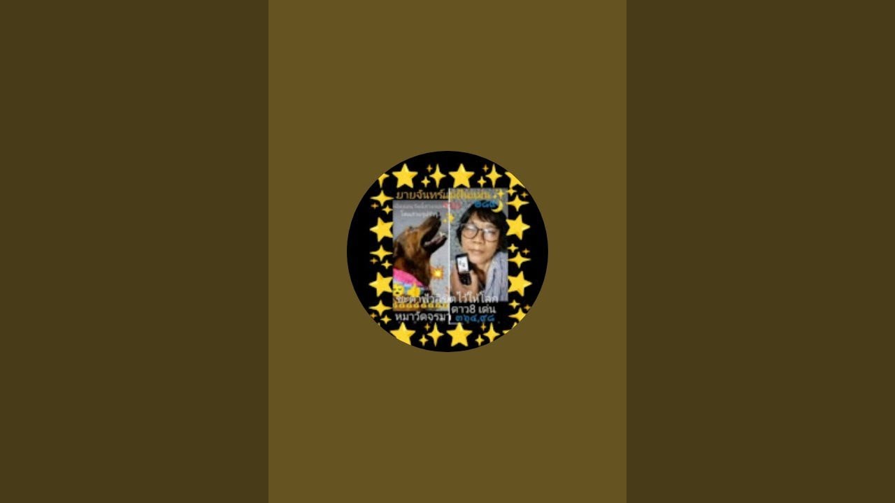 จากมอราชมงคลคลอง 6เดินทางกลับบ้านมาดูแลลูกหมาลูกแมวกำลังถ่ายทอดสด!