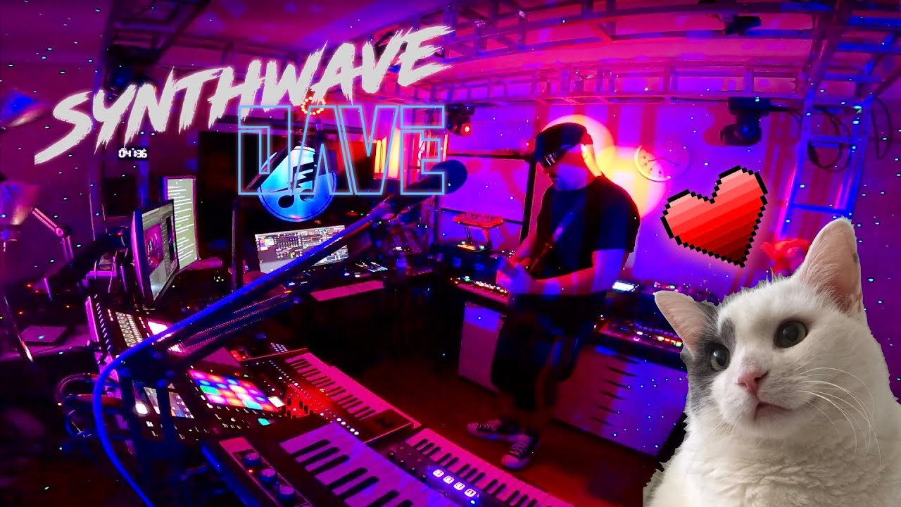 Do cats like Synthwave? YouTube