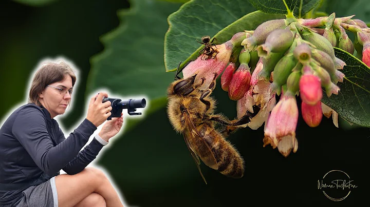 Photography kit for vivo x200 Ultra || Do you really need it?