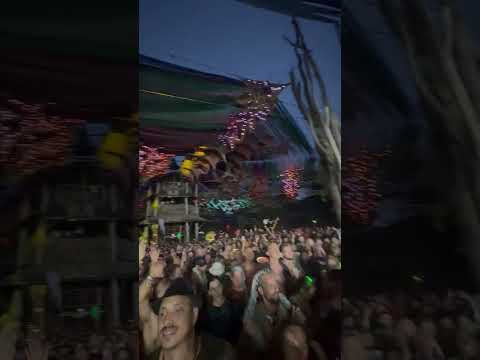 1200 Mics -
