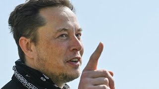 Napokon belül Elon Muskhoz kerülhet a Twitter