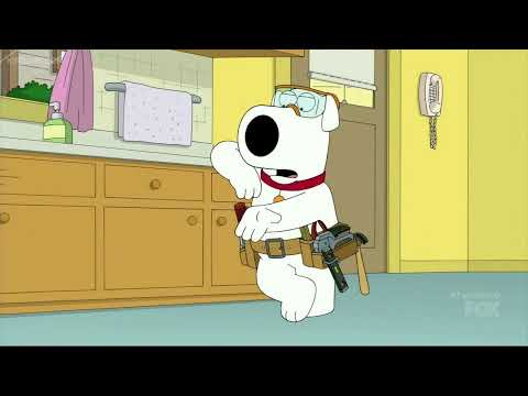 Family Guy Brian Gets A New Job