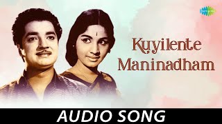 Download Lagu Kuyilente Maninadham - Audio Song | Padmaragam | K. J. Yesudas | M. K. Arjunan | Saregama Malayalam MP3 Download Lagu Kuyilente Maninadham - Audio Song | Padmaragam | K. J. Yesudas | M. K. Arjunan | Saregama Malayalam MP3