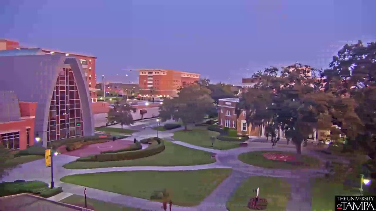 The University of Tampa Live Webcam YouTube