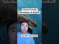 Как Ленивцы Стали Морскими Животными (И Почему Это Не Сработало)