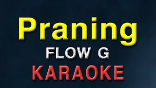 Praning - Flow G | KARAOKE
