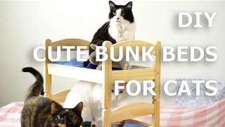 [How To] Bunk bed for cats! IKEA HACK by Hani Cat 28,289 views 7 years ago 3 minutes, 6 seconds