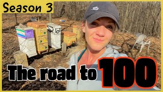 MY APIARY IS GROWING! Beekeeping 101 #beekeeping