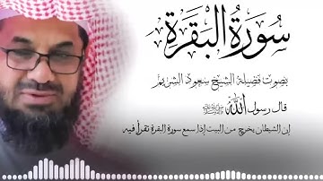 سورة البقرة كاملة فضيلة الشيخ سعود الشريم surah baqarah saud shuraim 2