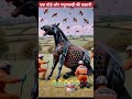 Ai Video Horce Story Q03 Short Video Reels Trending Shorts Ai Video Horce Story Q03 Short Video Reels Trending Shorts