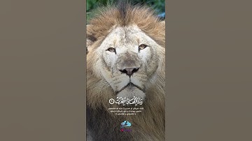 كأنه أتي من المستقبل ليسمعنا هذا الصوت بتقليد القارئ عبدالباسط عبدالصمد #قران #تلاوة_خاشعة
