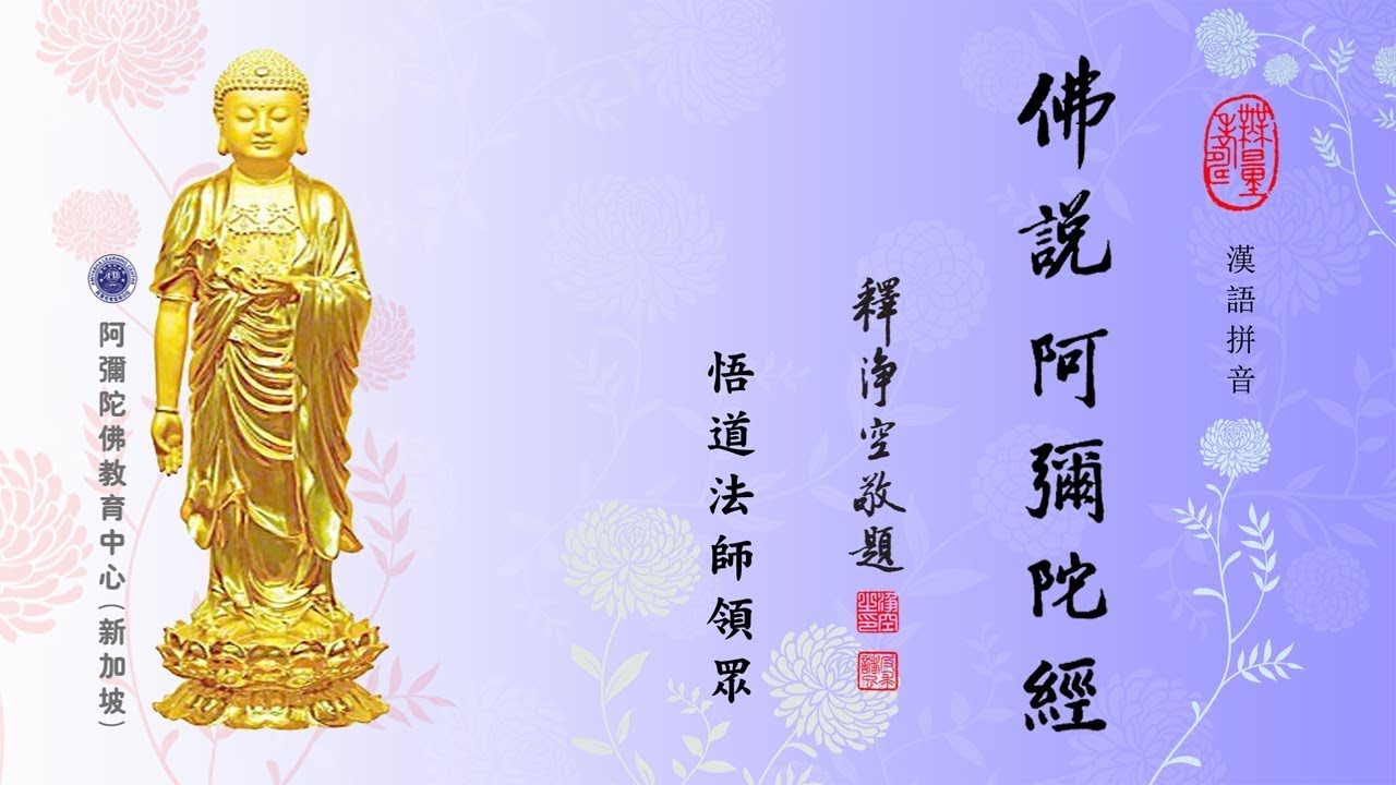 《佛說阿彌陀經》悟道法師領眾