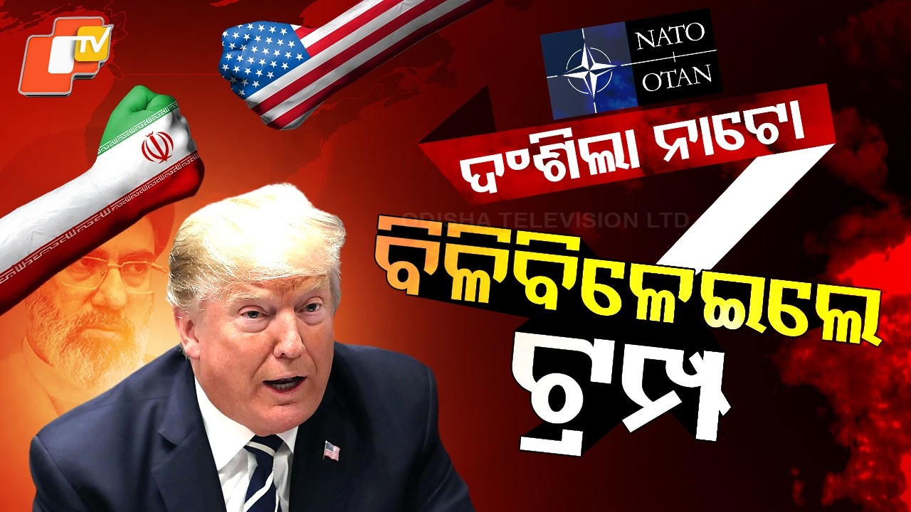 Special story: Trump Slams NATO as “Paper Tigers” Over Iran Conflict; Calls Allies Cowardly